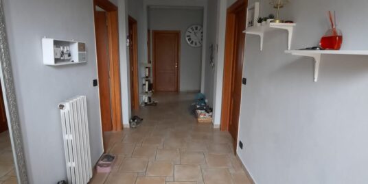 Casa con 2 appartamenti a Suzzara