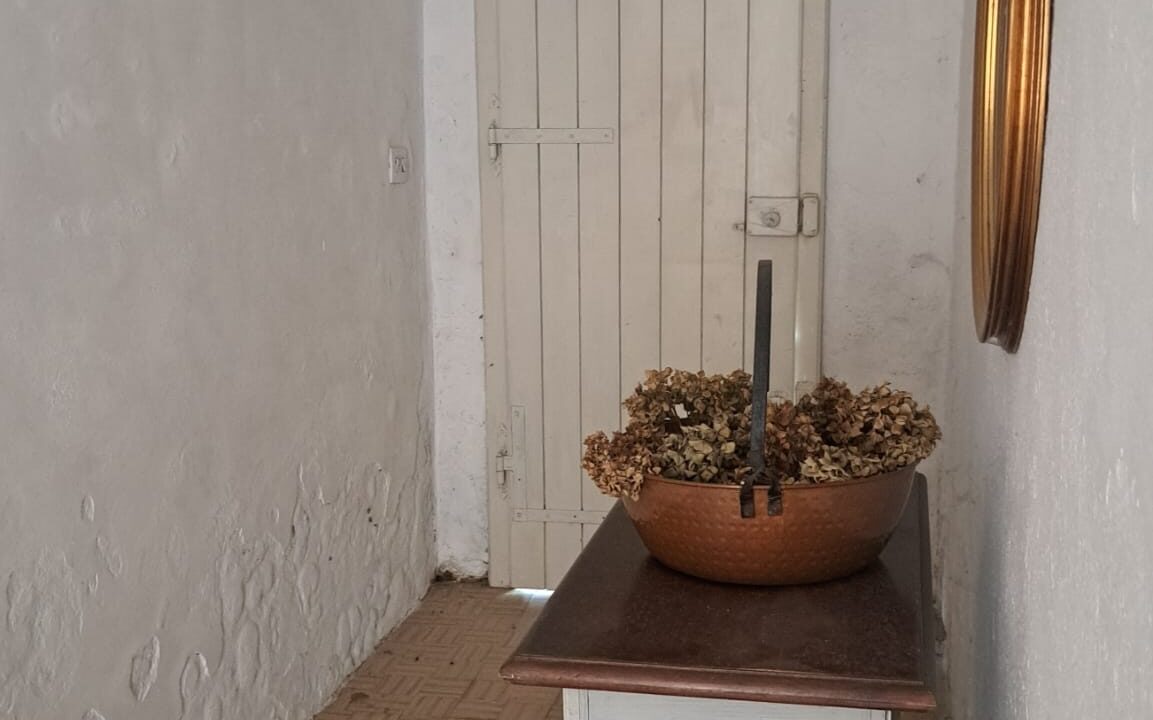 WhatsApp Image 2025-07-02 at 16.58.51 (1)