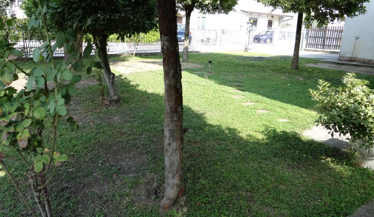 WhatsApp Image 2025-10-02 at 20.27.33 (1)
