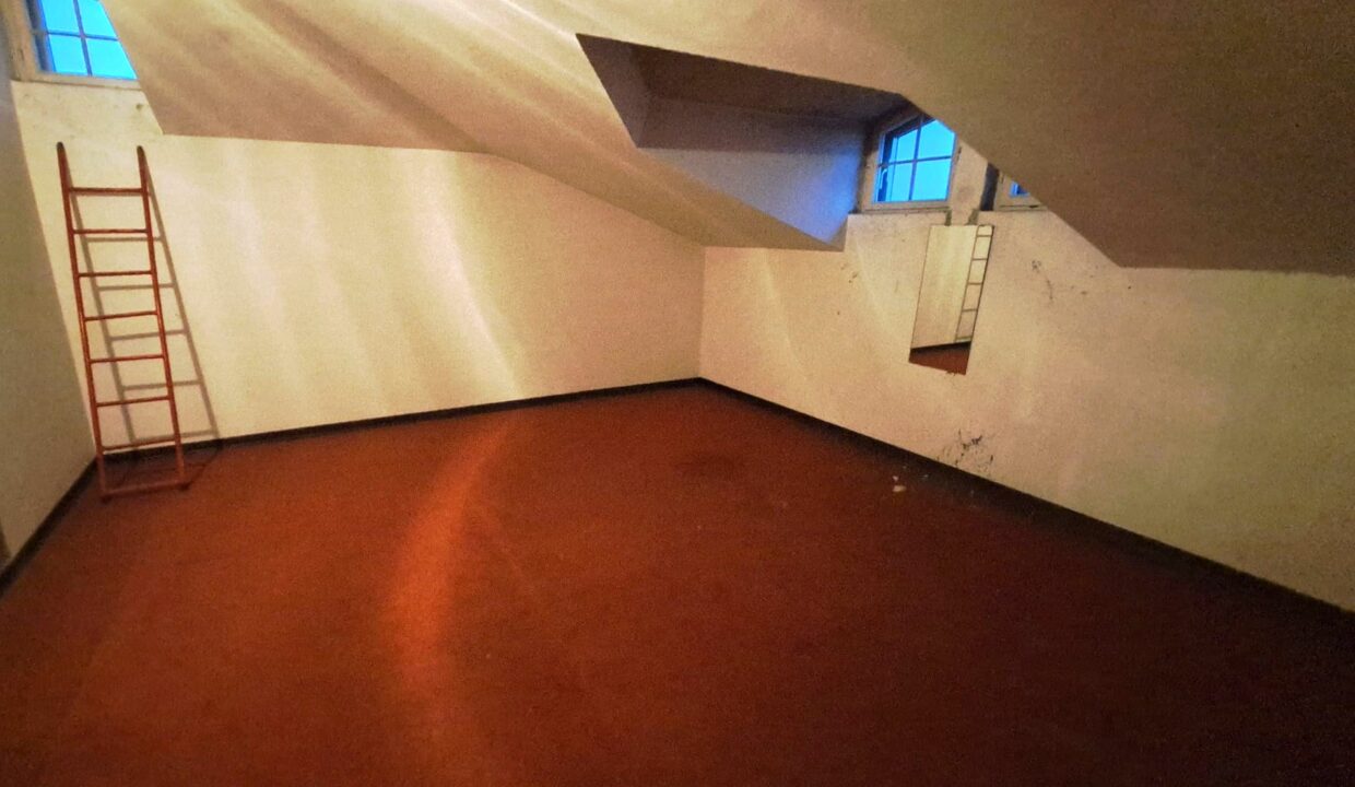 WhatsApp Image 2025-10-27 at 11.31.05 (3)