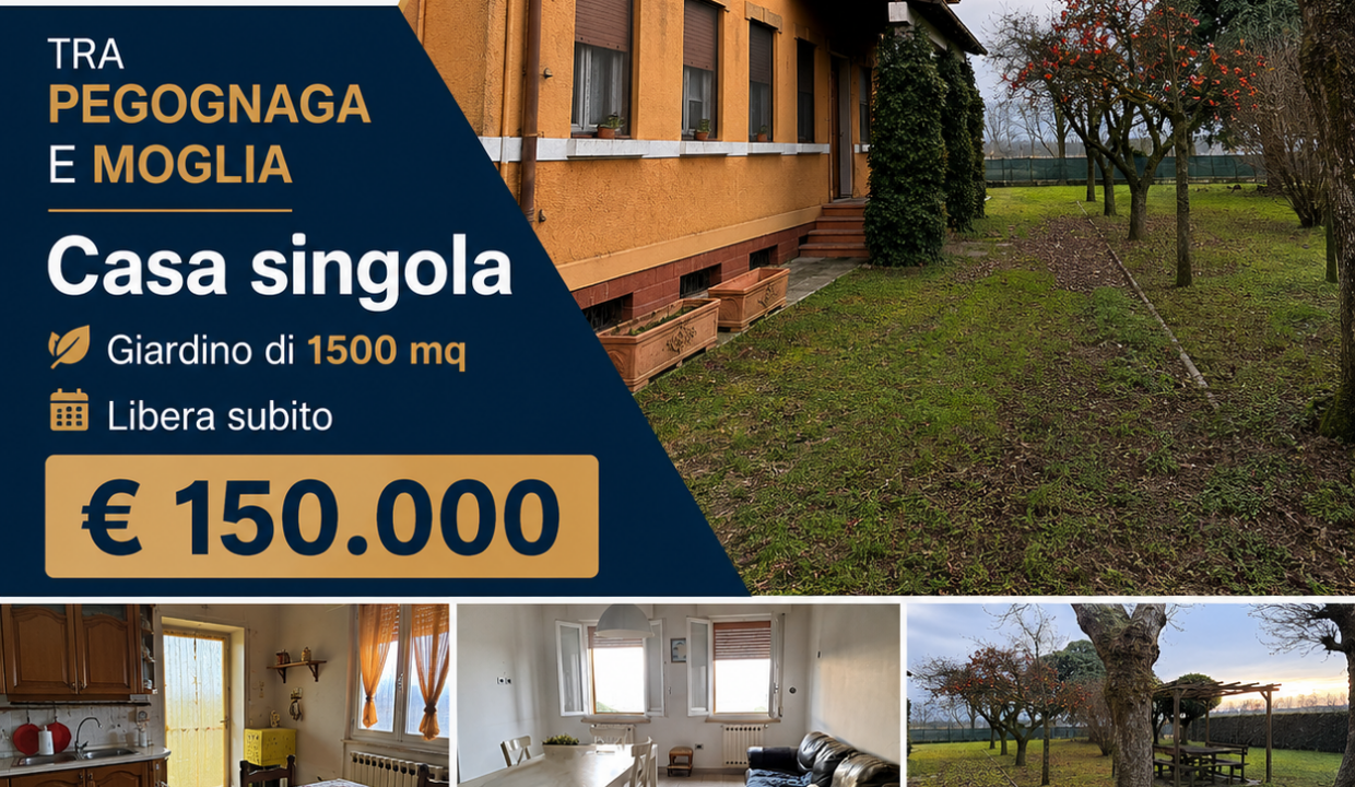 Moglia 150